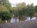 hochwasser_13.JPG